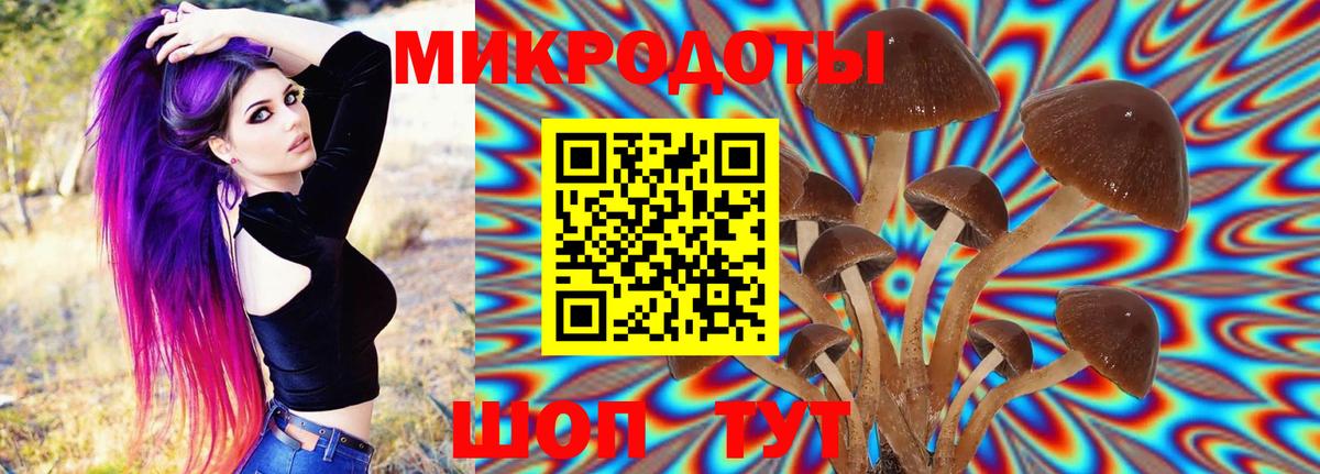 Псилоцибиновые грибы GOLDEN TEACHER  Вход с VPN  Сертолово 