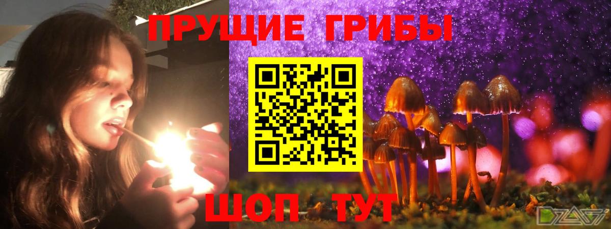Галлюциногенные грибы Magic Shrooms Сертолово